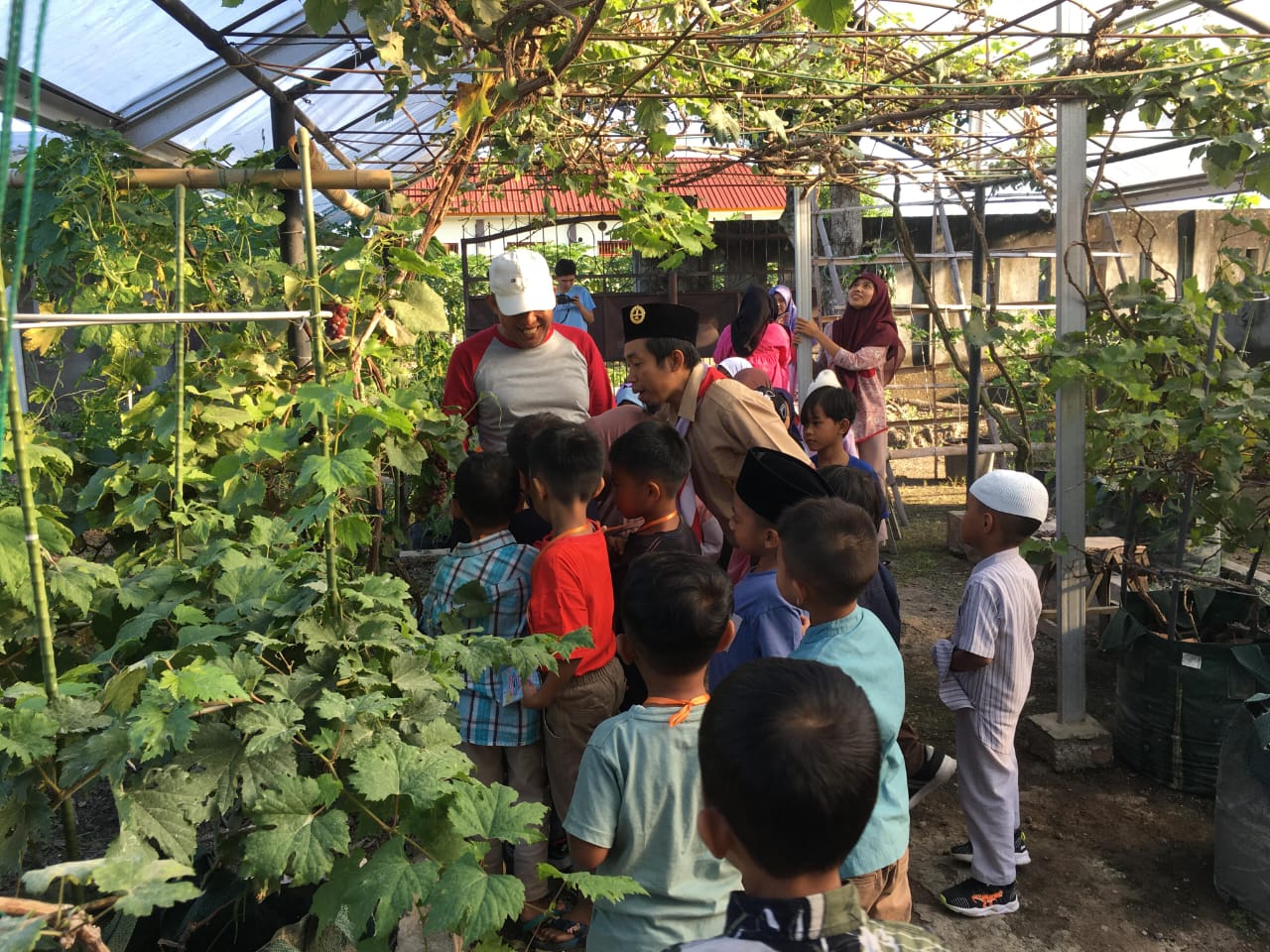 Berkebun